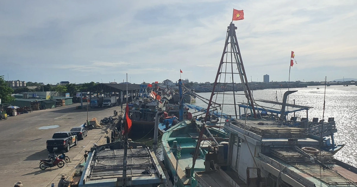 TP.HCM tuyệt đối không để tàu cá không đủ điều kiện hoạt động