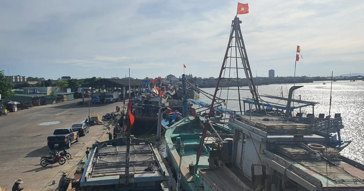 Áp dụng VNeID để quản lý đội tàu, quyết gỡ thẻ vàng