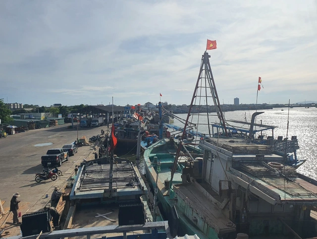 TP.HCM tuyệt đối không để tàu cá không đủ điều kiện hoạt động - Ảnh 1