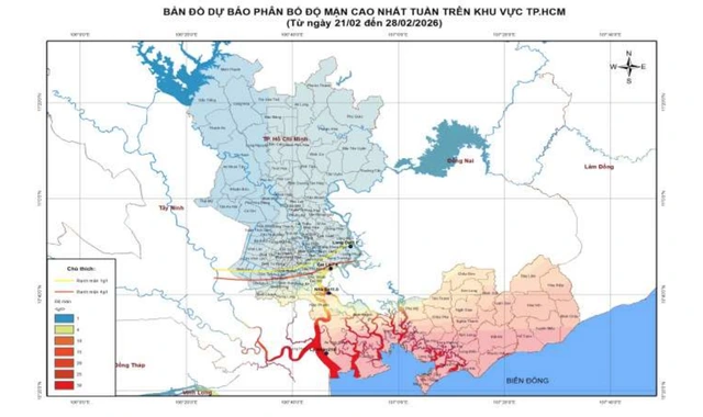 TP.HCM mặn xâm nhập sâu ngay đầu năm mới, vì sao? - Ảnh 1
