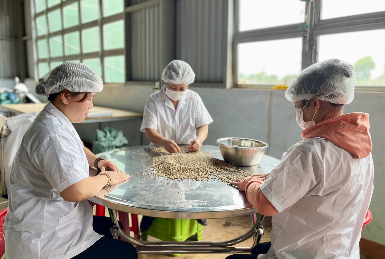 Nhờ loại hạt mệnh danh "vàng đen", hợp tác xã Gia Lai vừa tạo kỳ tích hiếm có - Ảnh 1