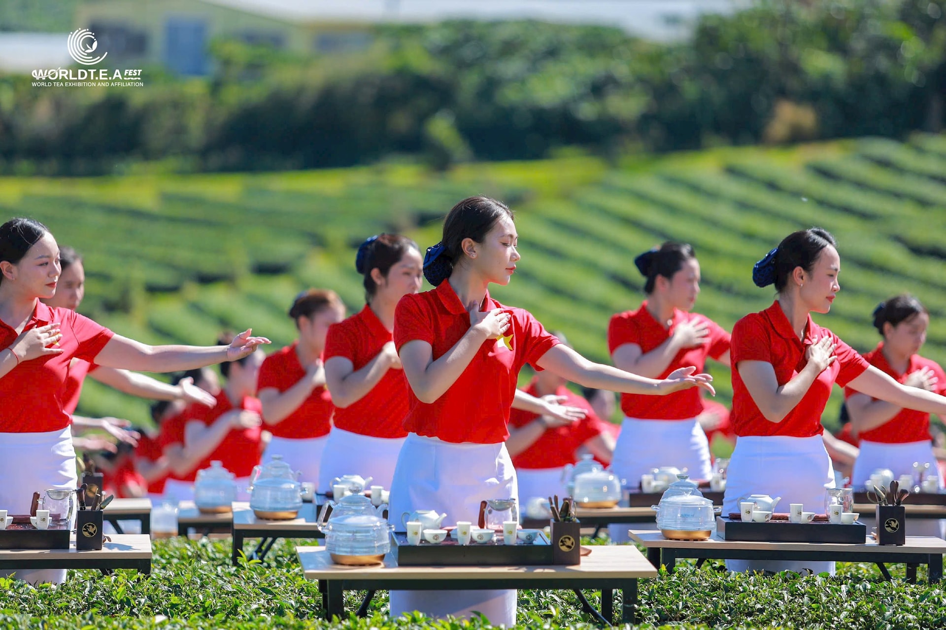 Đôi Dép - Khi con đường không có đèn đỏ - Ảnh 3