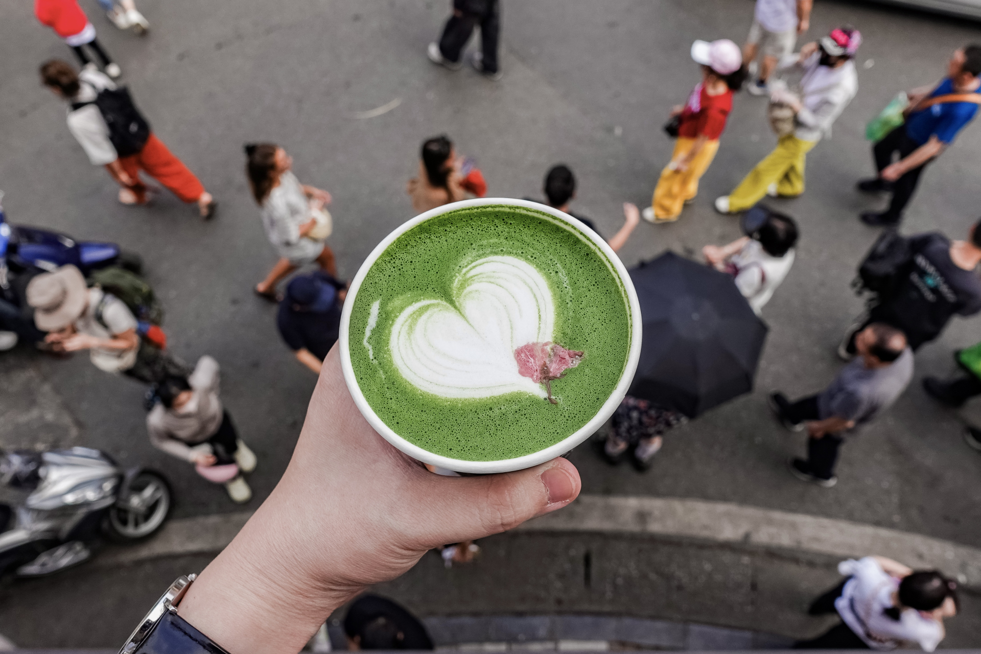 Hàng matcha đắt nhất nhì Việt Nam cân từng viên đá khi pha chế, tháng nào cũng có chuyên gia về kiểm tra - Ảnh 8