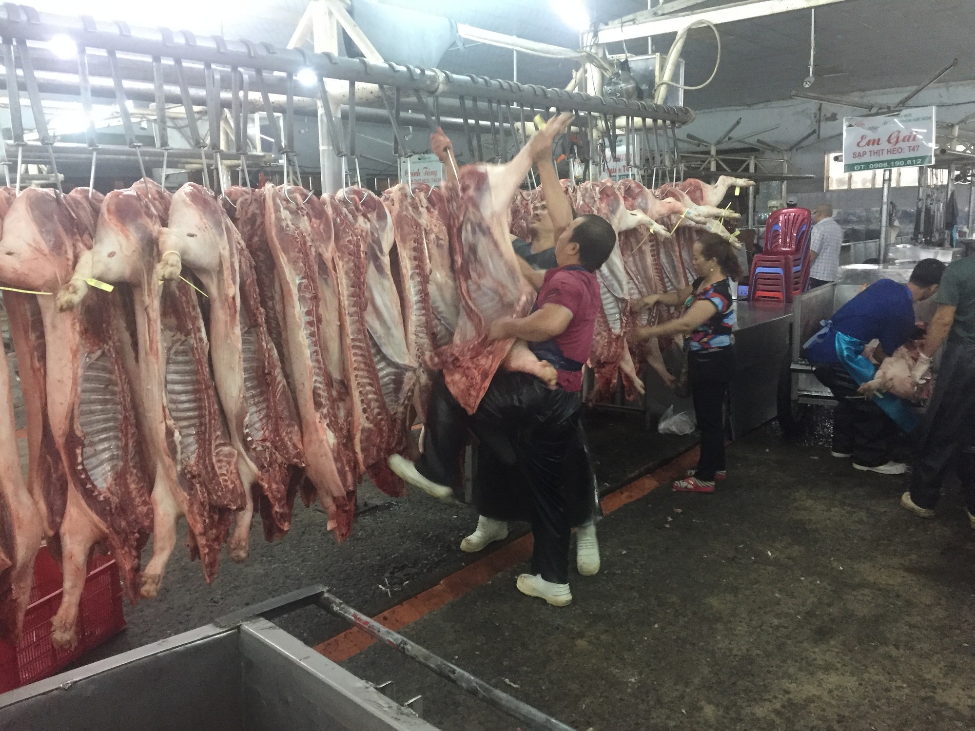 Giá heo hơi hôm nay, 10-3: Heo mảnh tại chợ đầu mối tiếp tục rớt mạnh - Ảnh 1