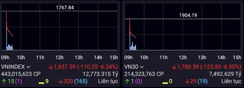 VN-Index bay hơn 110 điểm, nhà đầu tư cần làm gì để bảo vệ tài khoản? - Ảnh 1