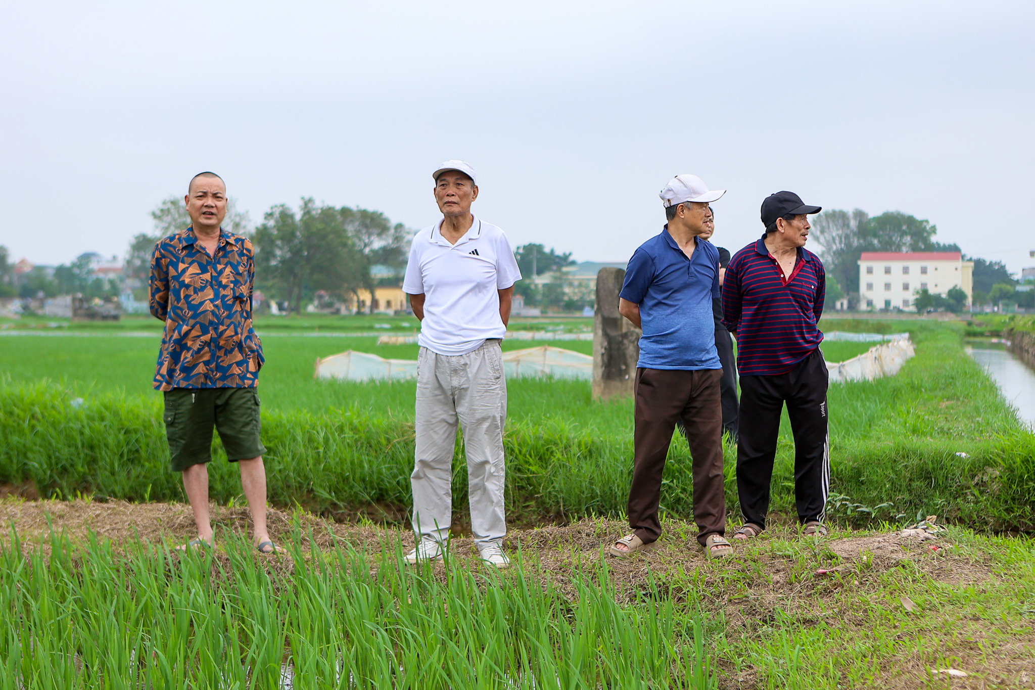Đại công trường xây sân vận động lớn nhất thế giới: Ô tô nối đuôi nhau như đàn kiến, cần cẩu phủ kín đường mặt đất - Ảnh 12