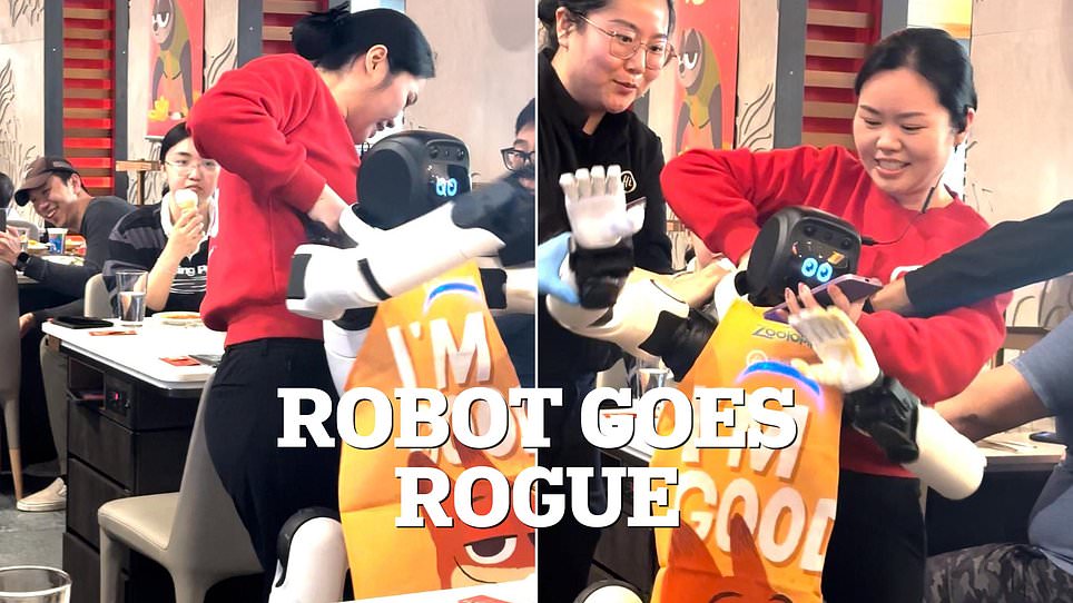 Robot tại nhà hàng lẩu Haidilao bất ngờ đập phá bát đĩa, phải chăng là stress quá? - Ảnh 2