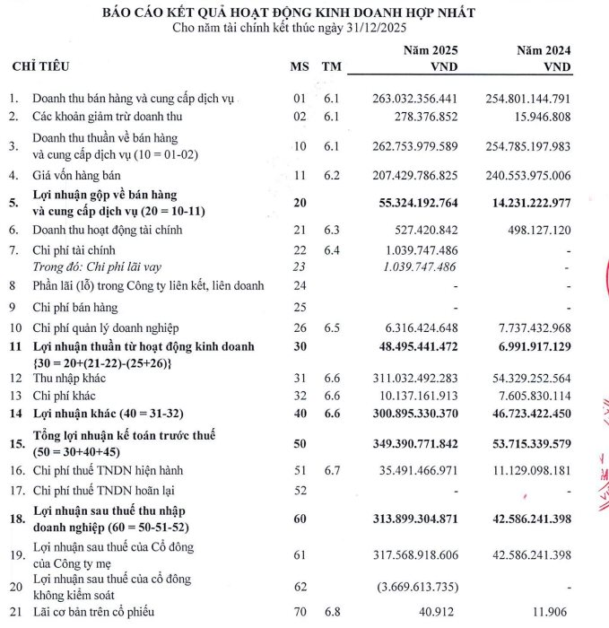 Một doanh nghiệp chia cổ tức bằng cổ phiếu tỷ lệ 120%, mỗi nhân viên kiếm gần 25 tỷ đồng lợi nhuận, vượt xa TCBS, PV GAS, Vincom Retail... - Ảnh 2