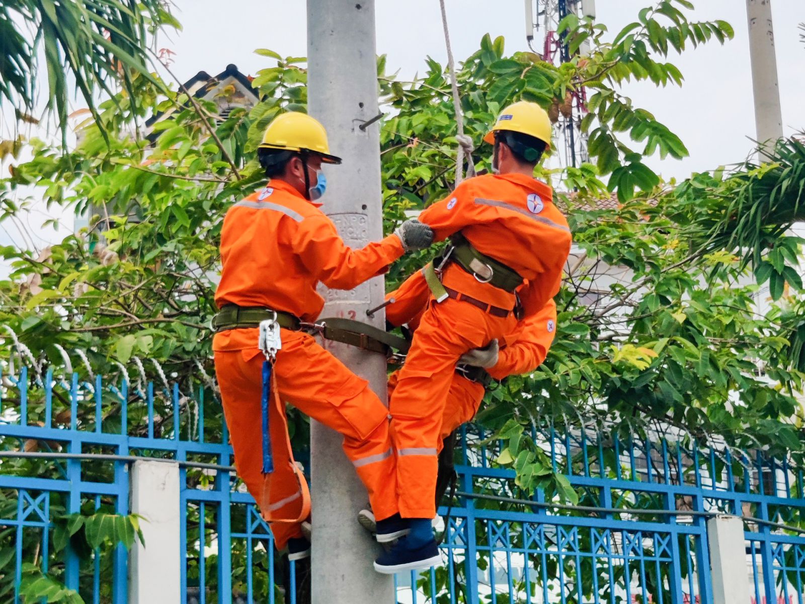 Nắng nóng gay gắt: Điện lực TPHCM “bày cách” tiết kiệm điện - Ảnh 1