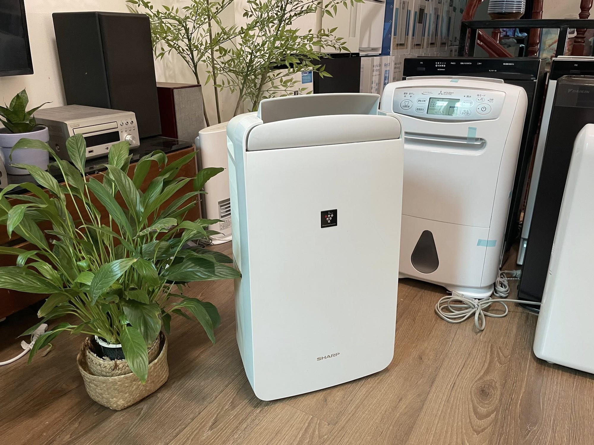 Món đồ hot nhất lúc này, đại lý nhập gấp 10 lần vẫn không kịp bán - Ảnh 1