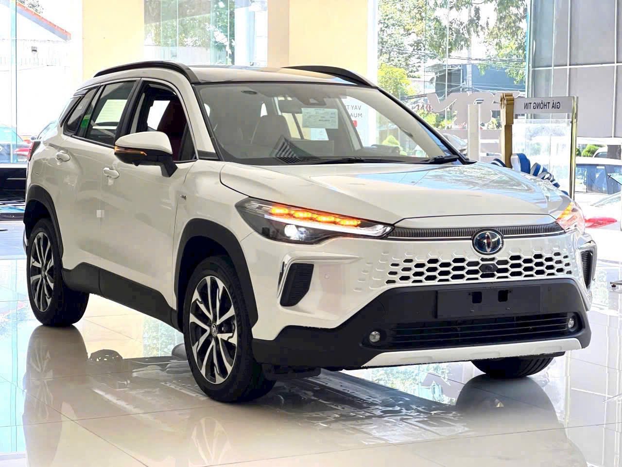 Nghịch lý doanh số tháng Tết: Bán tải tăng 580% soán ngôi vương, Pajero Sport hồi sinh ngoạn mục sau tháng trắng đơn - Ảnh 3