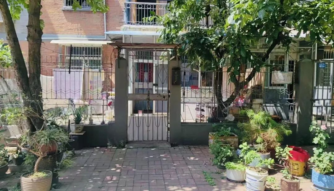 Bất chấp lời can ngăn, tôi mua căn hộ tầng 1 cũ kỹ không ai muốn: Sau 1 năm sống, tôi hiểu vì sao nó bị chê - Ảnh 1