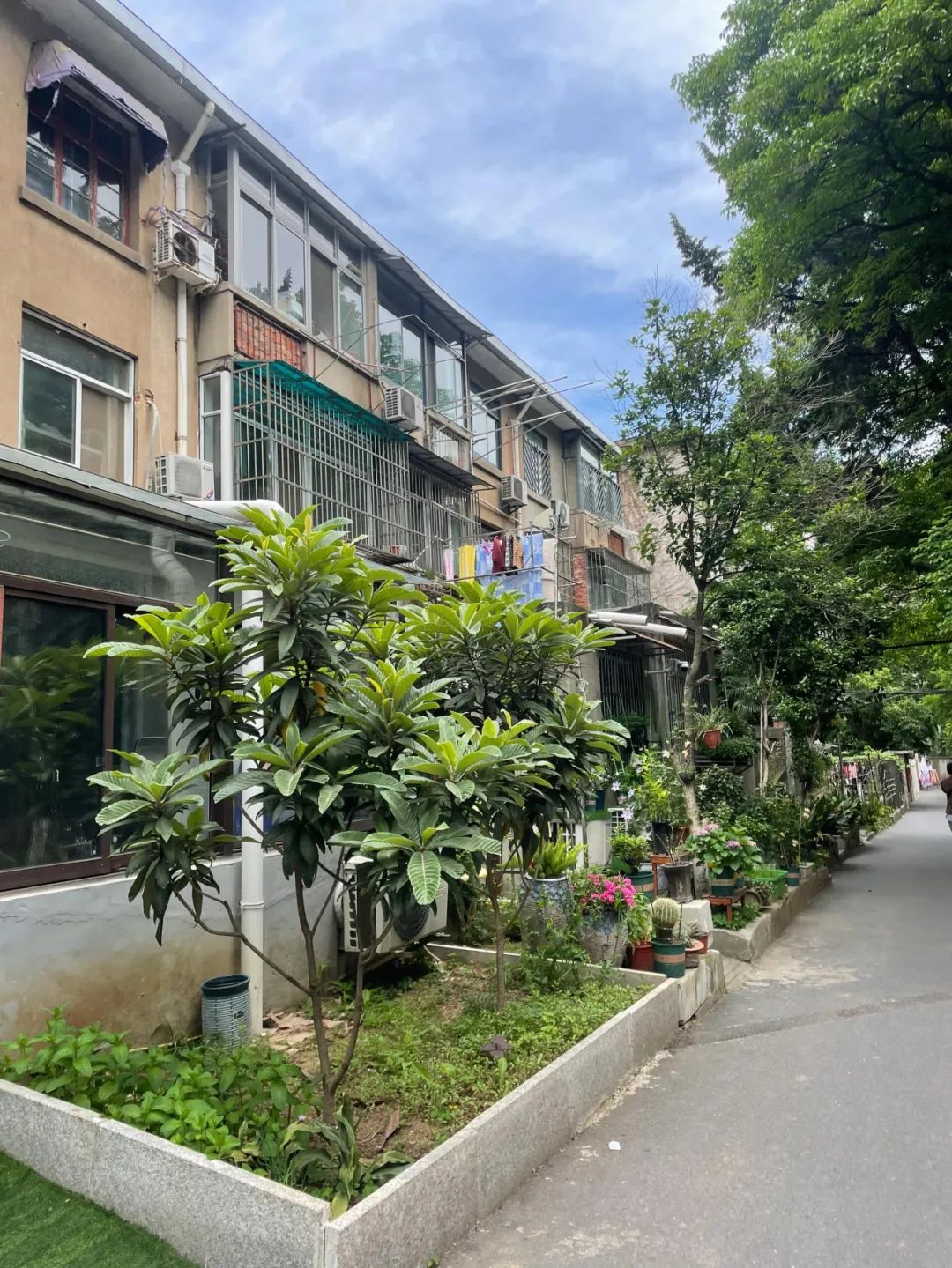 Bất chấp lời can ngăn, tôi mua căn hộ tầng 1 cũ kỹ không ai muốn: Sau 1 năm sống, tôi hiểu vì sao nó bị chê - Ảnh 5