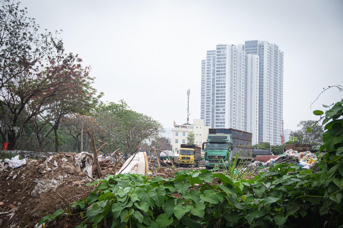 ‘Núi’ phế liệu trên khu đất nông nghiệp rộng 4,3ha ở Hà Nội - Ảnh 2