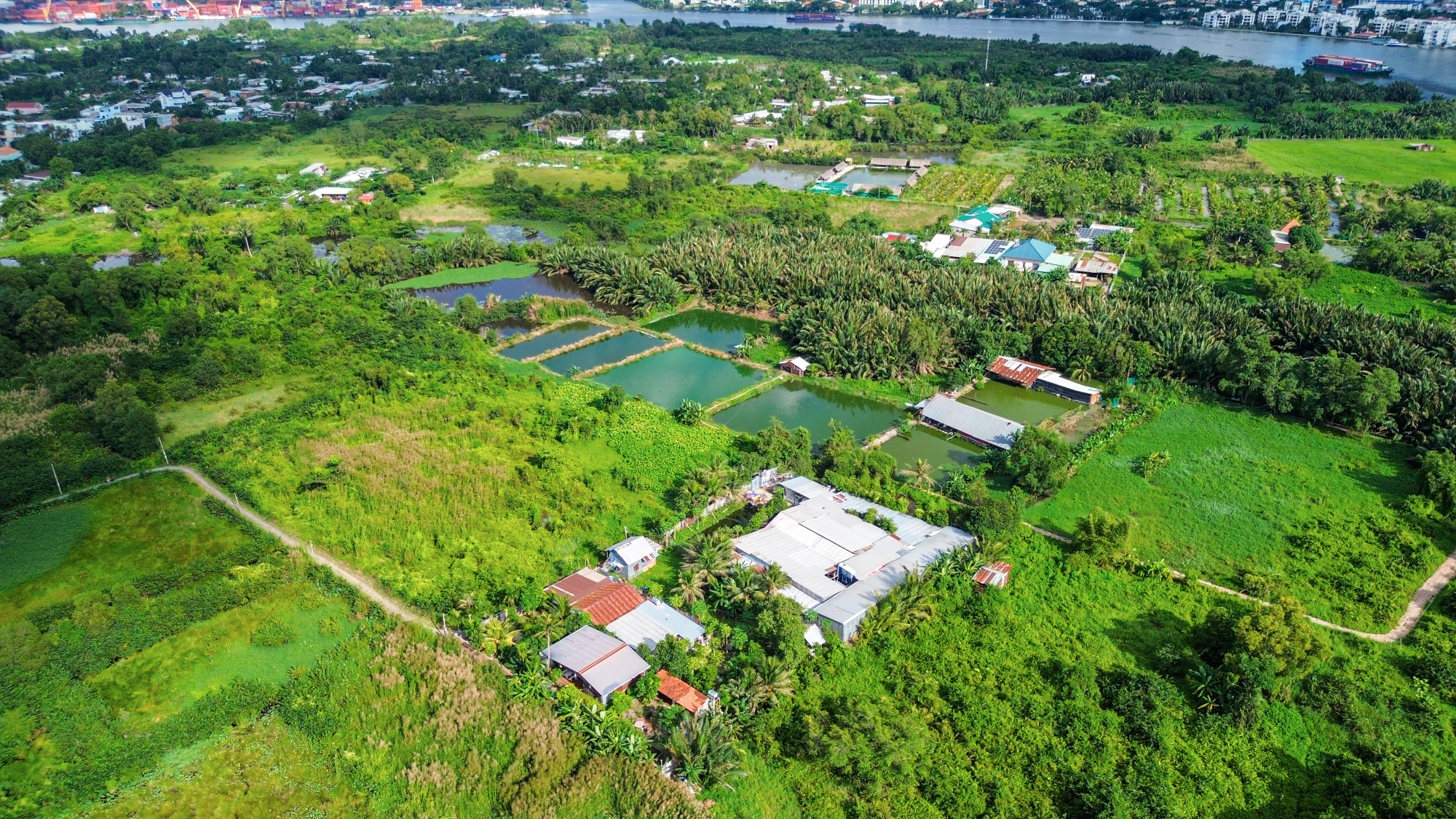 Toàn cảnh bán đảo bị quy hoạch treo 30 năm, sắp lột xác với siêu dự án gần 100.000 tỷ ở TP.HCM - Ảnh 9