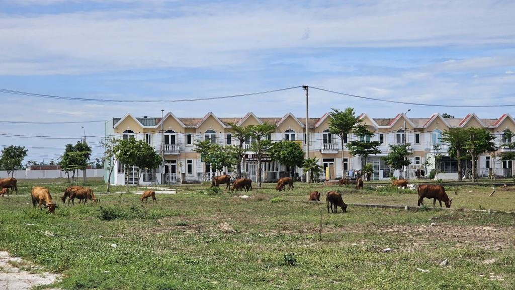 Đà Nẵng điều chỉnh quy hoạch dự án bên sông Hàn của Quốc Cường Gia Lai - Ảnh 2