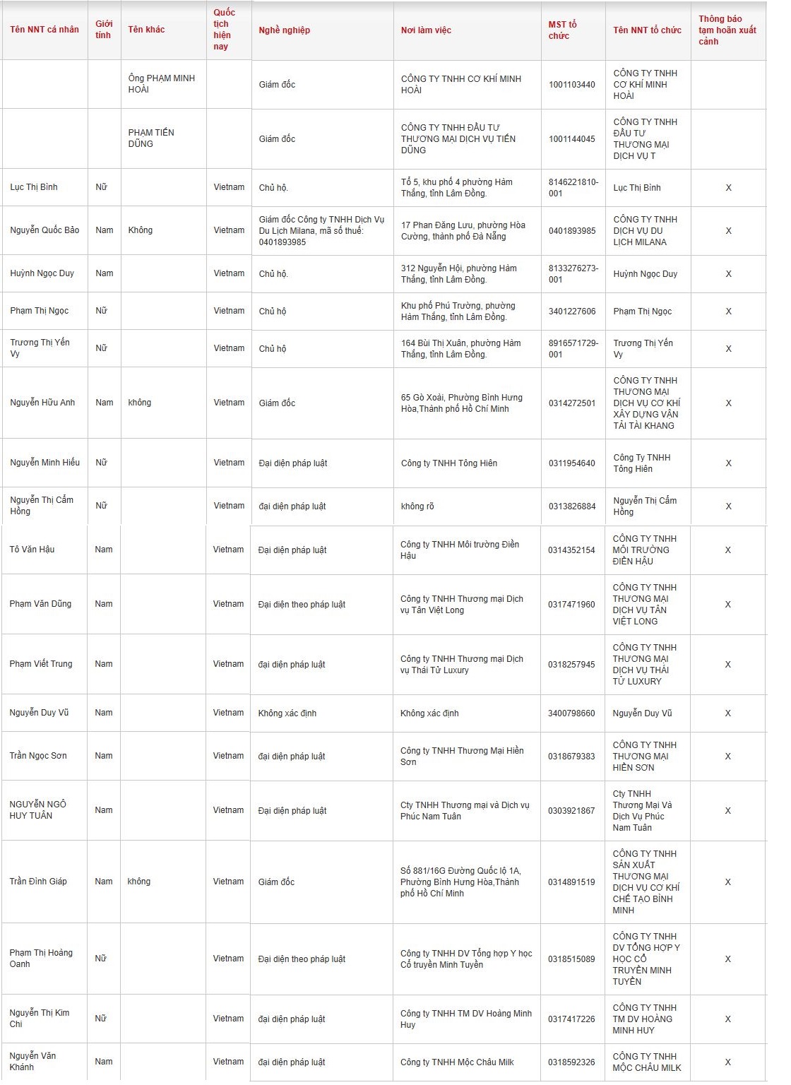 20 người nộp thuế có tên sau bị tạm hoãn xuất cảnh - Ảnh 2