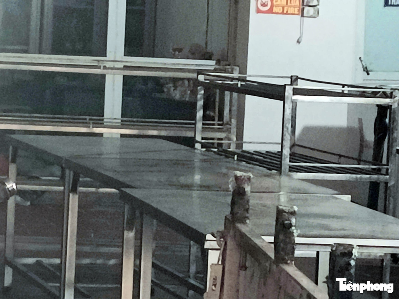 Bên trong công ty cung cấp thịt lợn nhiễm dịch tả lợn Châu Phi vào trường học - Ảnh 8