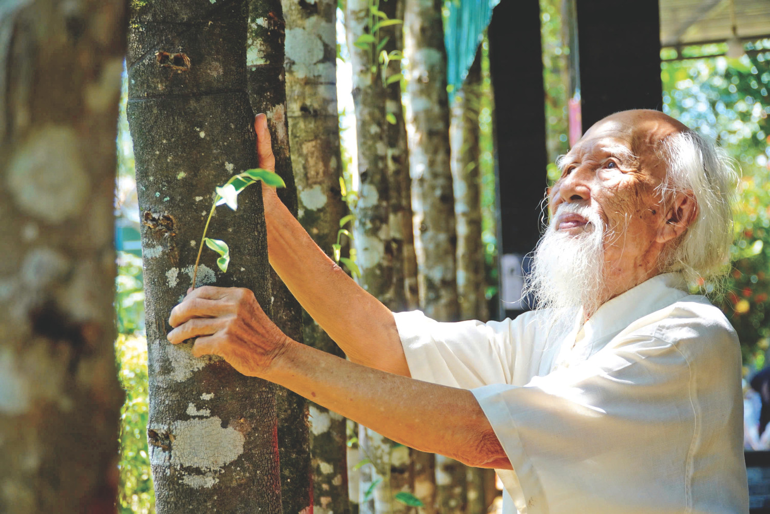 Cụ ông 98 tuổi biến khối gỗ mục làm củi thành "vàng", kiếm 200 tỷ mỗi năm cho vùng rốn lũ miền Trung - Ảnh 2