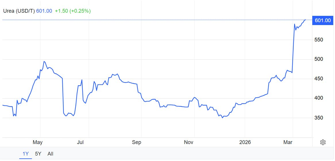 Sau đất hiếm, Trung Quốc siết xuất khẩu mặt hàng nuôi sống thế giới, làm rung chuyển thị trường lương thực toàn cầu - Ảnh 2