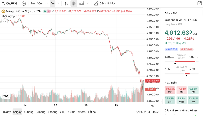 Nhà đầu tư kể chuyện mất nửa tỉ vì vàng, bạc quay đầu - Ảnh 4