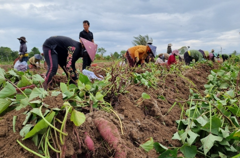 Việt Nam vừa đón một tin vui lịch sử từ Nhật Bản - Ảnh 1