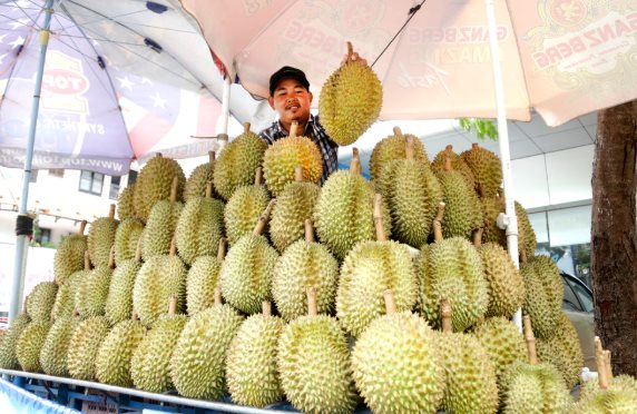 Đua với sầu riêng Việt Nam, Thái Lan ra nước cờ mới thông qua Lào - Ảnh 1