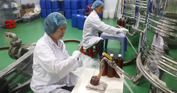 Người phụ nữ ở Tp.HCM kiếm 60 tỷ/năm nhờ con vật tí hon, nuôi bằng loại nguyên liệu rẻ bất ngờ