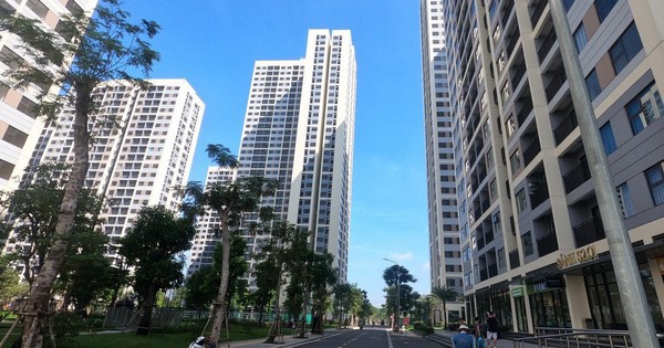 Căn hộ cho thuê hạ nhiệt, phòng trọ gia tăng lượng tìm thuê