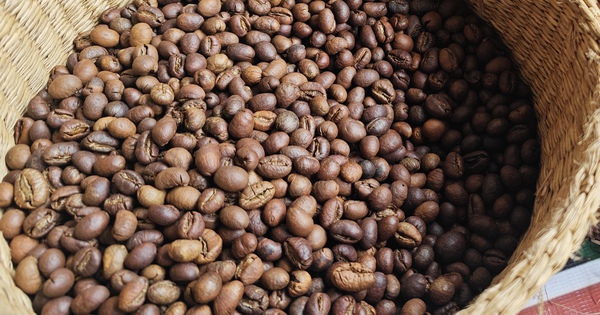 Giá cà phê hôm nay 1-3: Giữ giá tốt, là nhà cung cấp số 2 cho Hàn Quốc