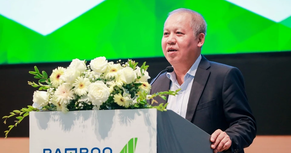 Nguyên Phó Cục trưởng Cục Hàng không Võ Huy Cường làm Phó Tổng giám đốc Bamboo Airways