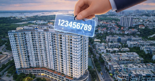 Cách tra cứu mã định danh bất động sản cá nhân, người dân cần biết rõ một điều