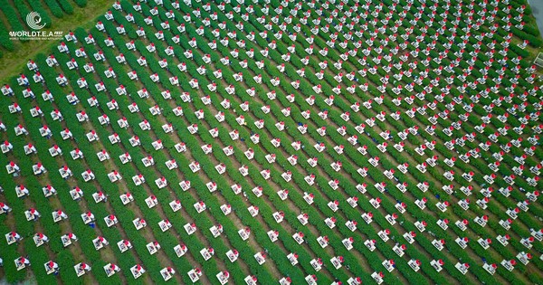 Đôi Dép - Khi con đường không có đèn đỏ