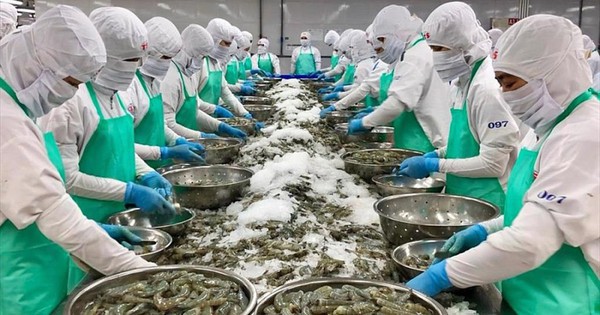 Doanh nghiệp xuất khẩu thủy sản ứng phó với căng thẳng tại Trung Đông