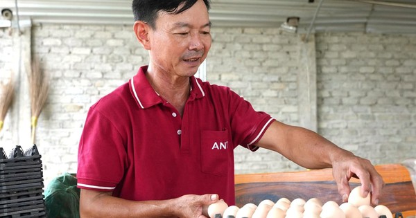 Khởi nghiệp với 5 triệu đồng, anh chủ thu về hàng chục tỷ đồng từ một loài 'quái thú siêu trứng'
