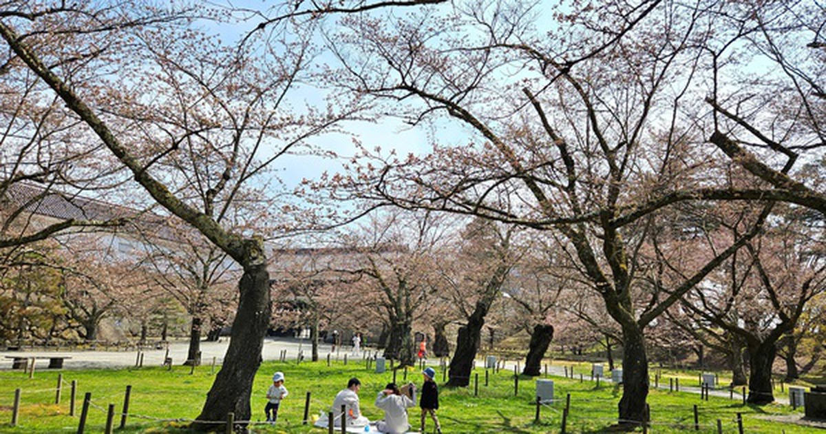 Con số bất ngờ về người Việt đi du lịch Nhật Bản