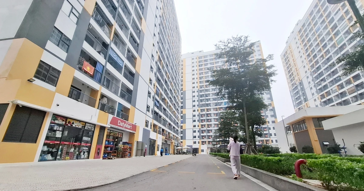 Tổng rà soát hồ sơ mua, thuê nhà ở xã hội