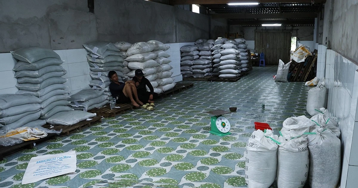 Kiểm tra cửa hàng vật tư nông nghiệp, thu giữ hàng chục tấn phân bón không phép