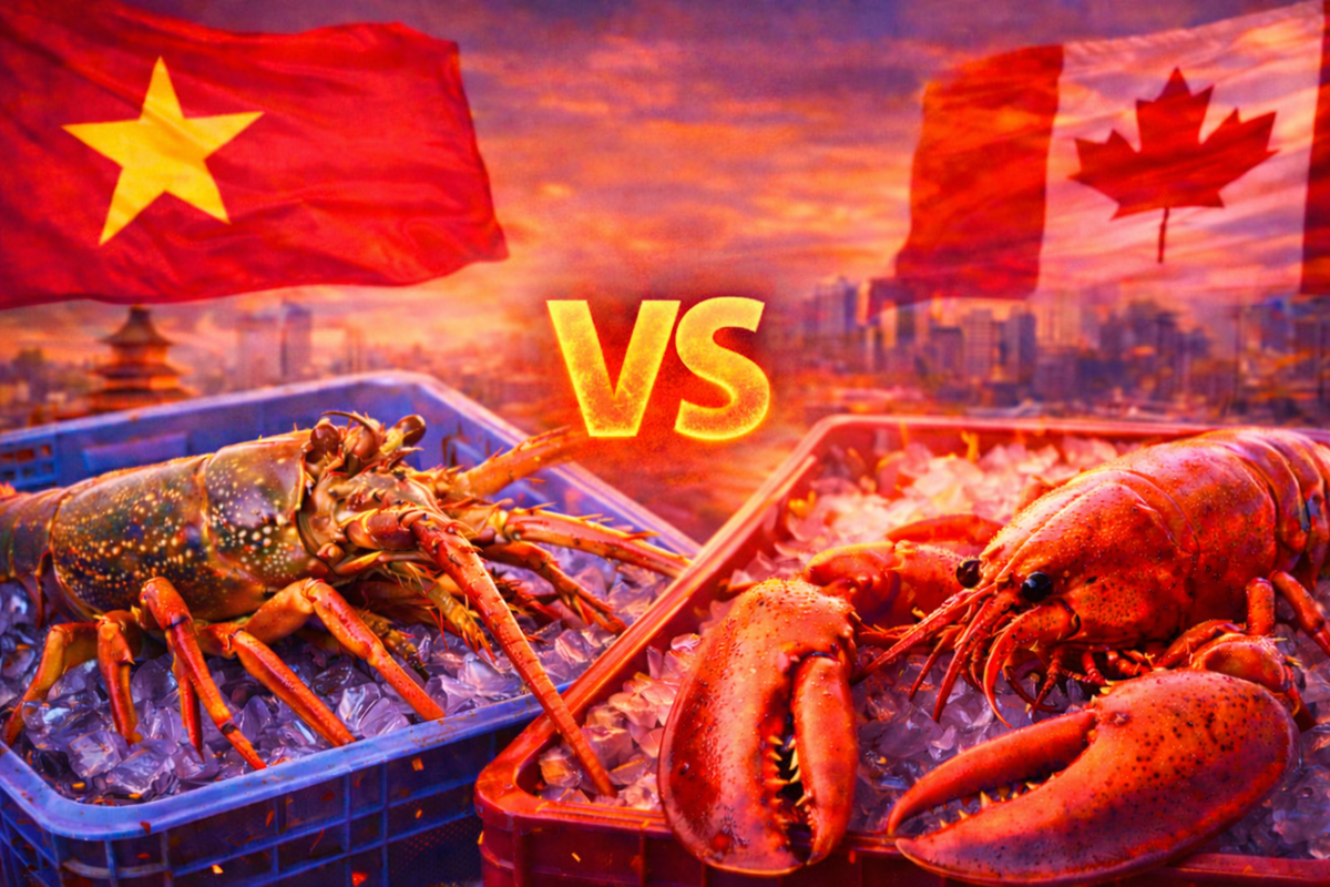 Thị trường ‘tỷ đô’ của Trung Quốc đảo chiều: Trong lúc Canada chờ giảm thuế, Việt Nam đã soán ngôi số 1