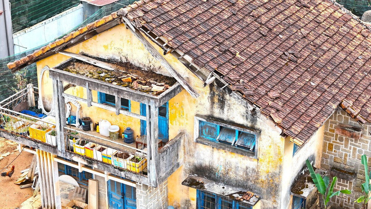 Cận cảnh biệt thự, khu nhà đất 'vàng' bỏ hoang, lãng phí ở Ðà Lạt