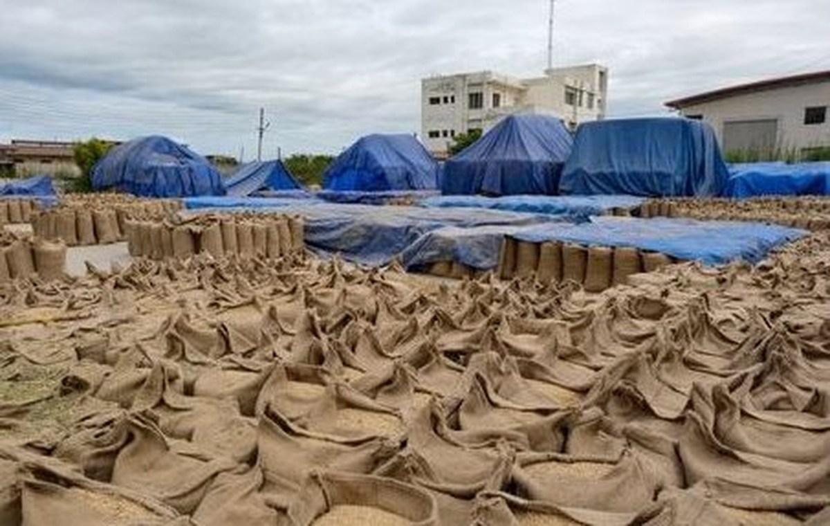 Sau dầu thô, một mặt hàng rục rịch tăng giá cao nhất 2 năm