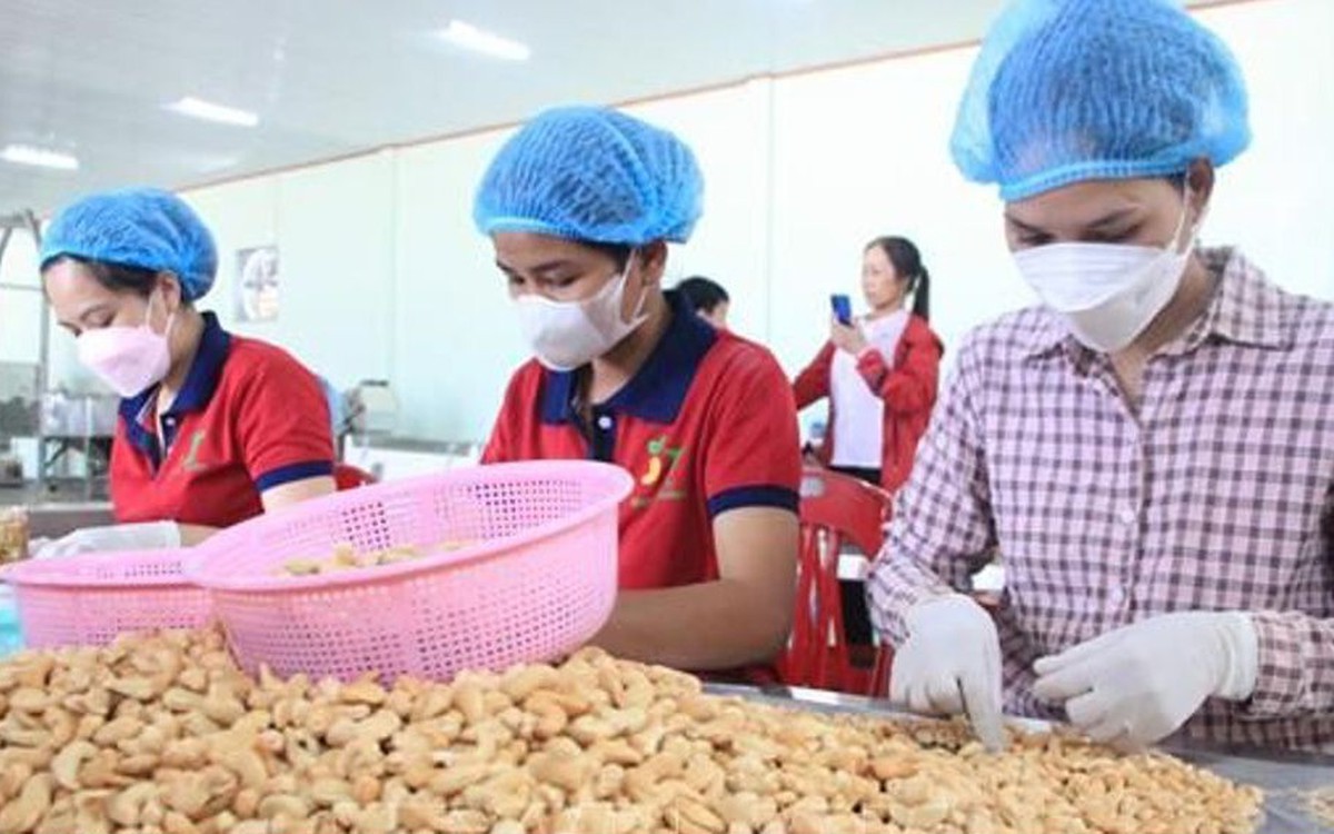 Ngành điều Việt Nam hướng tới giữ vững đà tăng trưởng sau năm kỷ lục