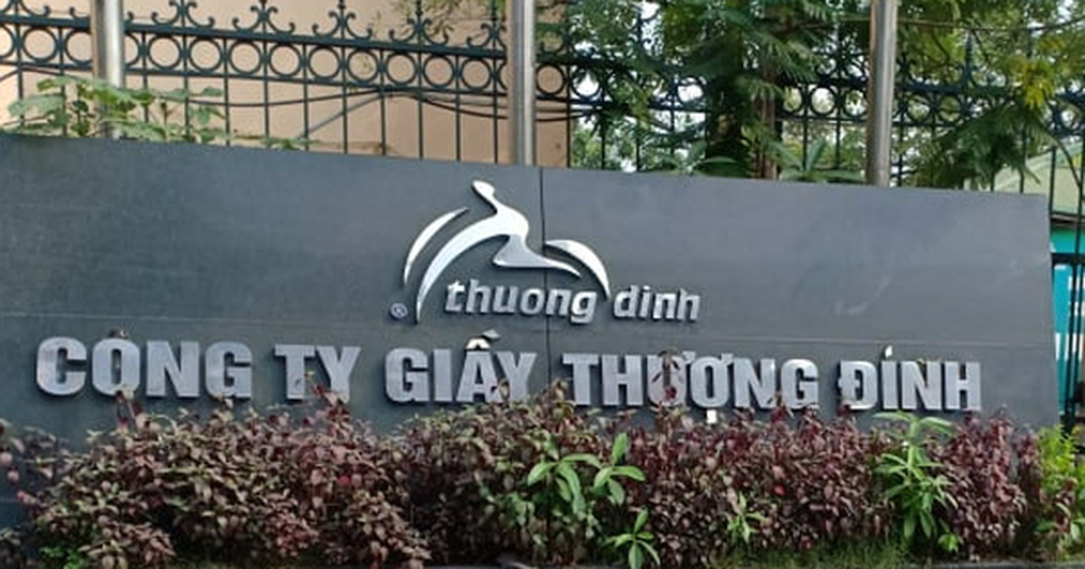 Giầy Thượng Đình chốt quyền tham dự ĐHĐCĐ thường niên 2026