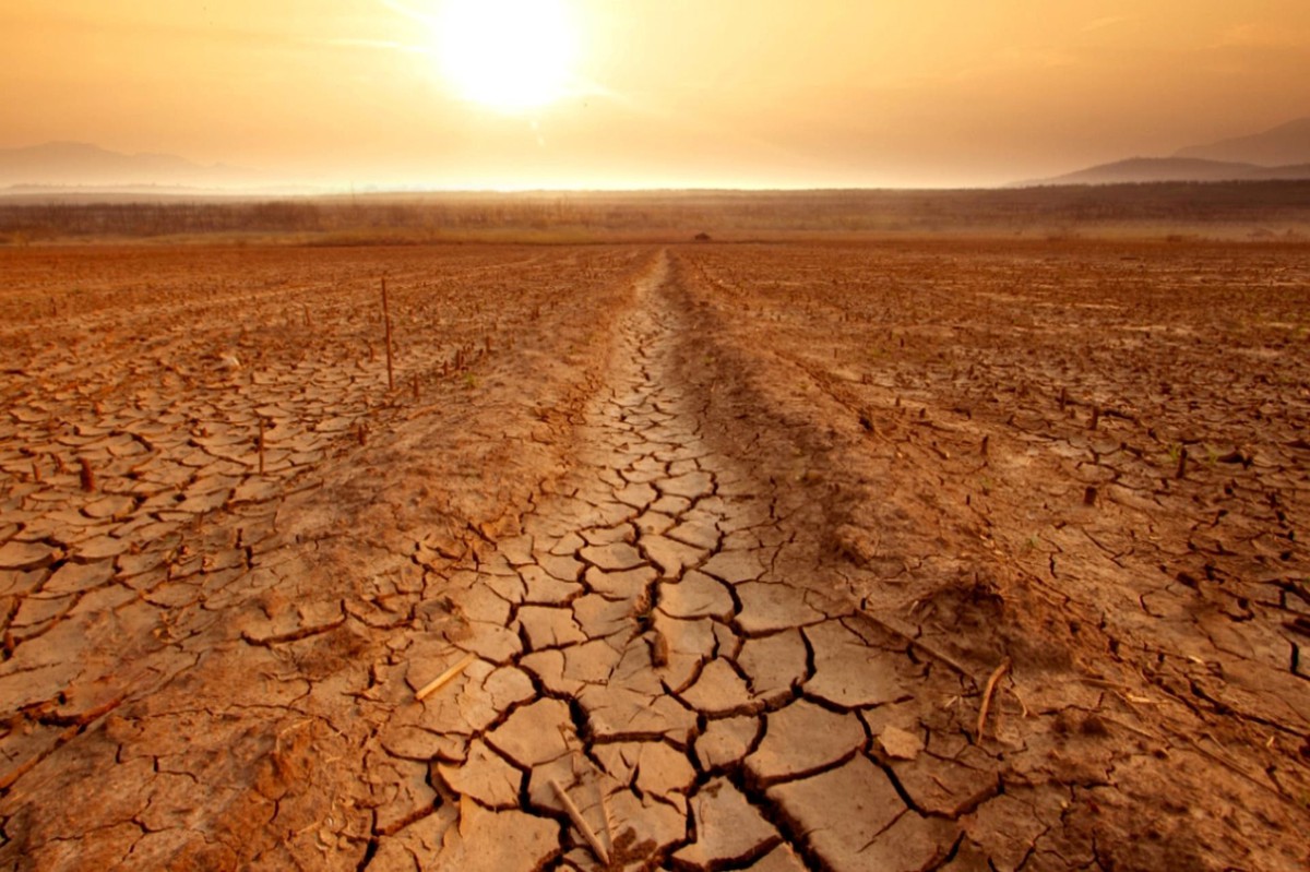 Vietcap: El Nino "tái xuất" sau tháng 8, lộ diện những mã cổ phiếu tiềm năng