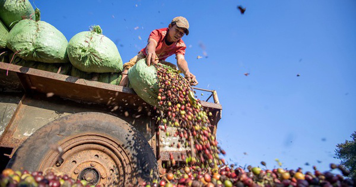 Việt Nam đón tin vui từ Campuchia
