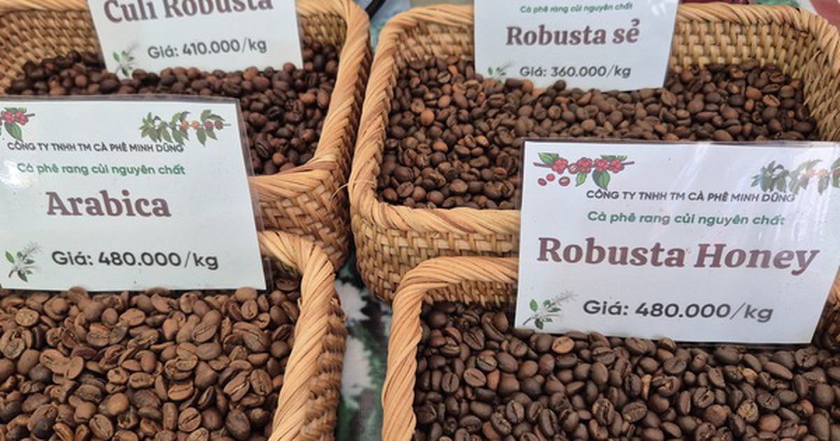 Giá cà phê hôm nay 18-3: Arabica – Robusta đồng loạt tăng, tín hiệu đảo chiều rõ nét