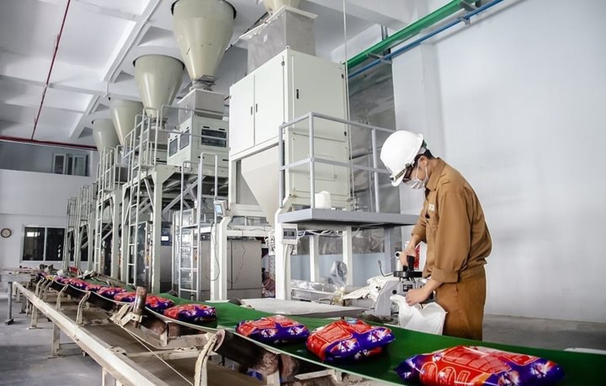 “Giải cứu” bất thành Hóa chất Đức Giang