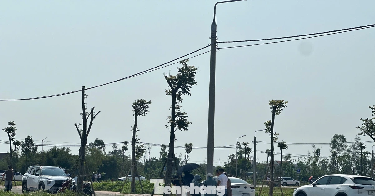 Đất nông thôn vùng quê bất ngờ 'sốt', ô tô đổ về kín đường