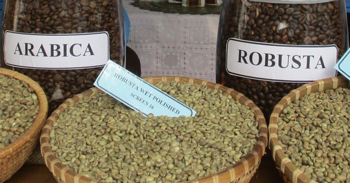 Giá cà phê hôm nay 21-3: Arabica tăng nóng