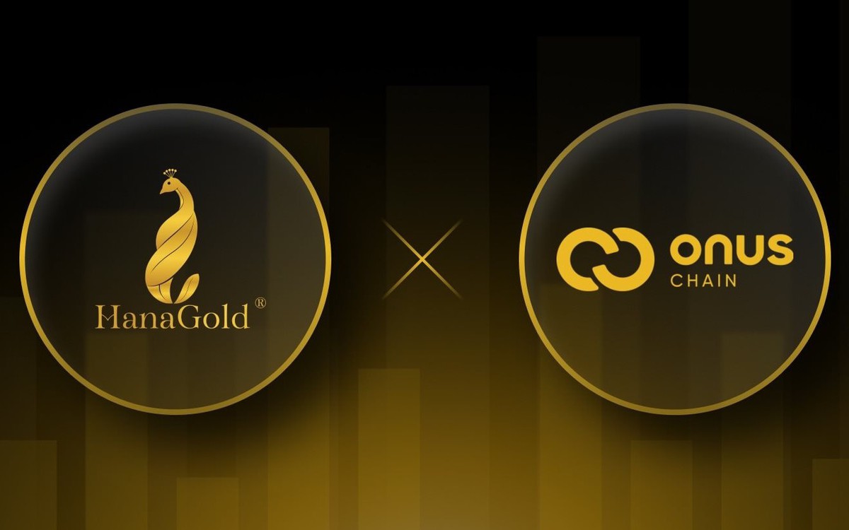 Công ty có quan hệ mật thiết với ONUS và HanaGold: Vốn mỏng, lợi nhuận cả năm chỉ vài tỷ nhưng ôm tham vọng làm sàn tài sản số